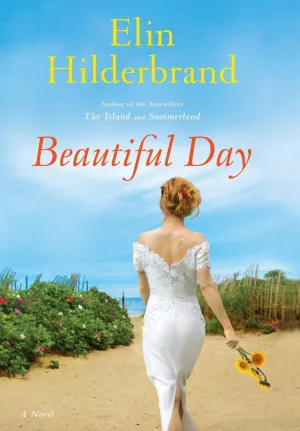 Beautiful Day: A Novel Hardcover  June 25, 2013